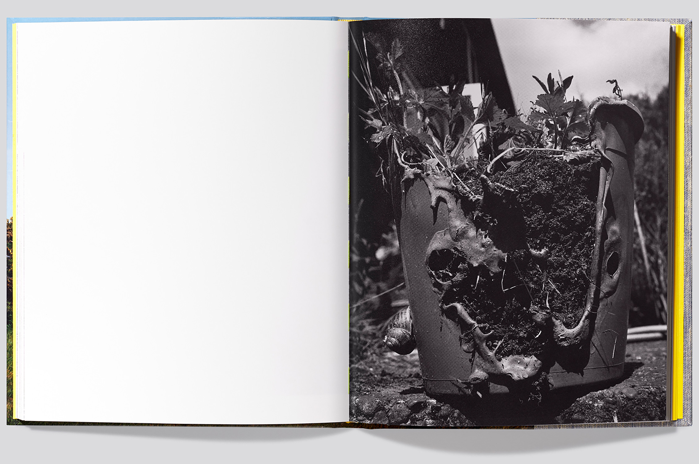 Daily weeding book, shot by Kuba Ryniewicz / notenote éditions - © artifices