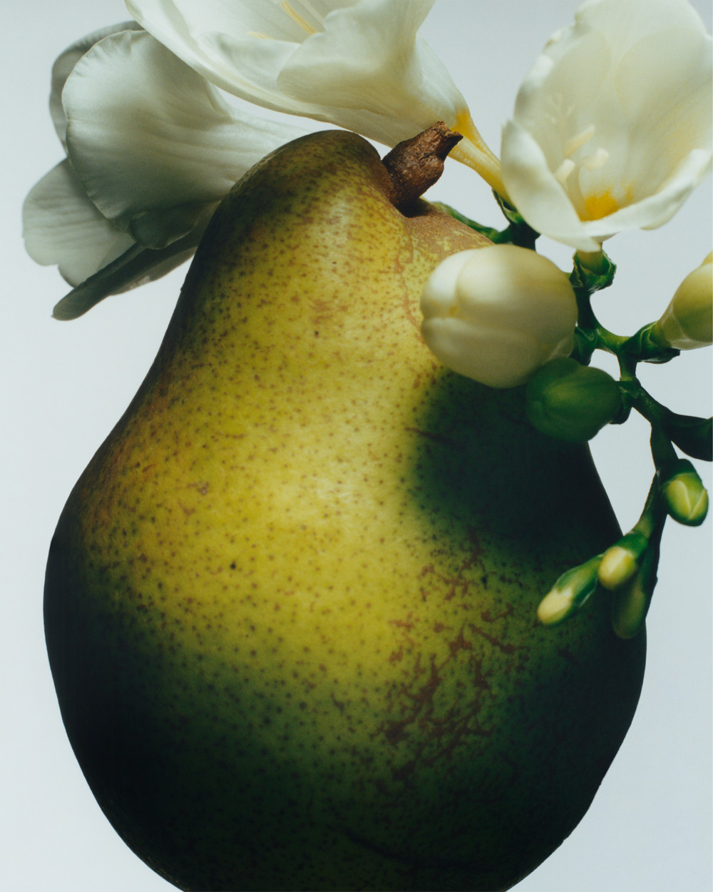 JO MALONE - © artifices